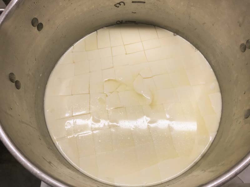 Cut curds for cheese making