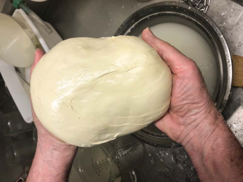 Forming ball for Mozzarella cheese