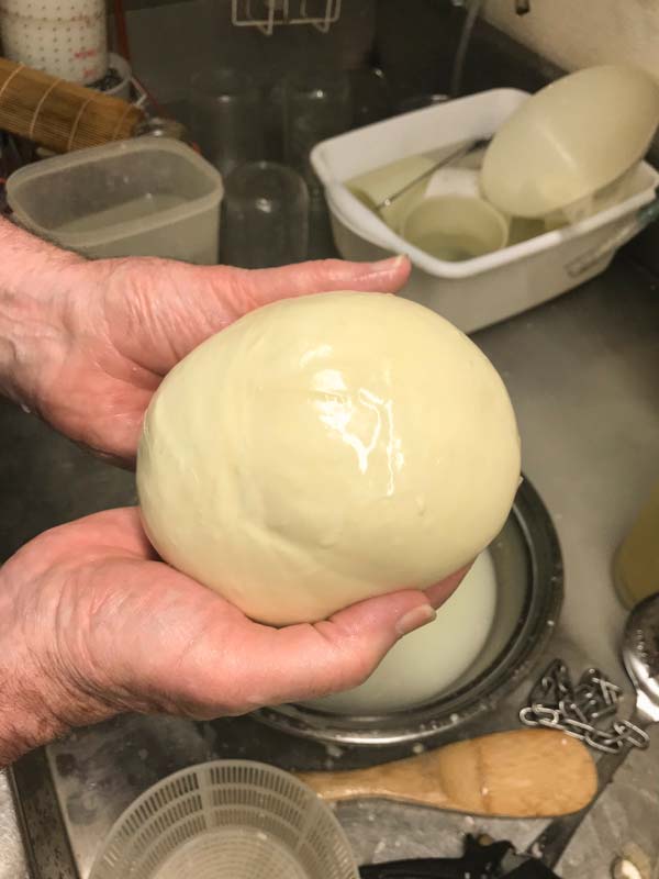 Forming ball for Mozzarella cheese