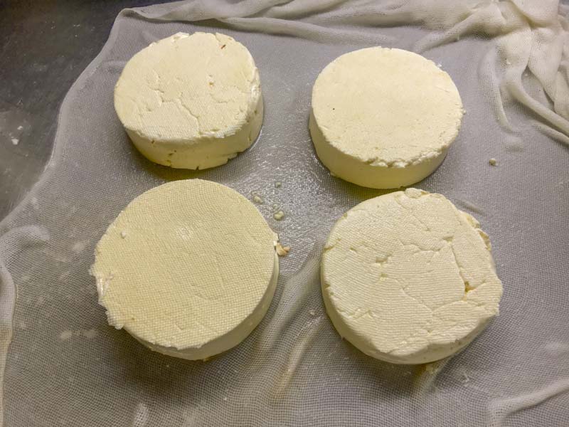https://cheesemaking-supply-co.s3.us-east-2.amazonaws.com/cheese-making-recipes/telemea/Telemea17.jpg